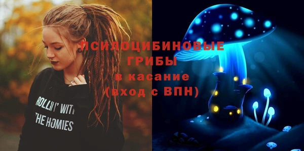 ешки Аркадак