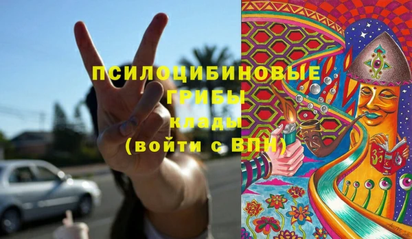 ешки Аркадак