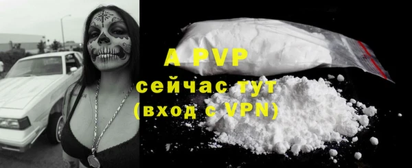 ешки Аркадак