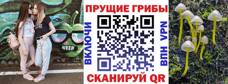 Галлюциногенные грибы мицелий  цена наркотик  Осташков 